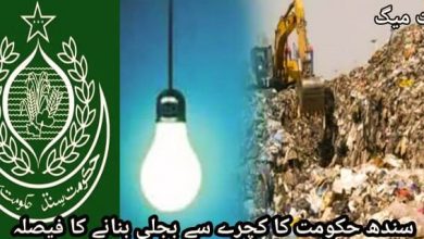 Photo of سندھ حکومت کا کچرے سے بجلی بنانے کا فیصلہ