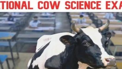 Photo of بیل کے دماغ کا کمال، بھارت میں نئے مضمون ’گائے سائنس‘ کا بھی امتحان لیا جائے گا