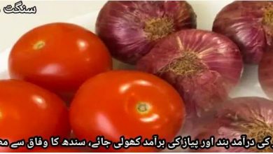 Photo of ٹماٹر کی درآمد بند اور پیاز کی برآمد کھولی جائے، سندھ کا وفاق سے مطالبہ
