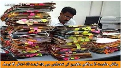 Photo of وفاقی حکومت کا سرکاری ملازمین کی تنخواہوں میں 40 فیصد تک اضافے کا فیصلہ