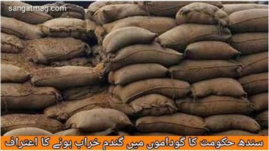 Photo of سندھ حکومت کا گوداموں میں گندم خراب ہونے کا اعتراف