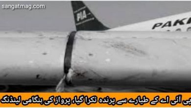 Photo of پی آئی اے کے طیارے سے پرندہ ٹکرا گیا، پرواز کی ہنگامی لینڈنگ