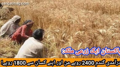 Photo of پاکستان ایک زرعی ملک: درآمدی گندم 2400 روپے من اور اپنے کسان سے 1800 روپے!