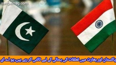 Photo of پاکستان اور بھارت میں تعلقات کی بحالی کے لیے ثالثی کر رہے ہیں، یو اے ای