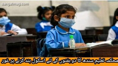 Photo of محکمہ تعلیم سندھ کا دو ہفتوں کے لئے اسکول بند کرنے پر غور