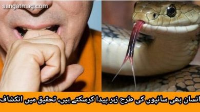 Photo of انسان بھی سانپوں کی طرح زہر پیدا کر سکتے ہیں، تحقیق میں حیرت انگیز انکشاف