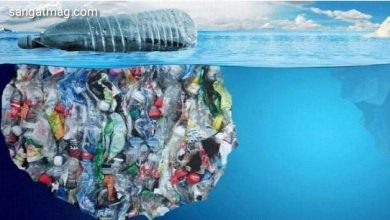 Photo of پلاسٹک کے خطرناک دیو سے ماحول کو ہولناک خطرہ درپیش ہے.