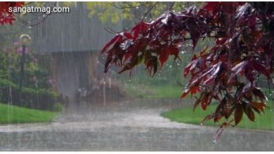 Photo of کل سے ملک بھر میں مون سون بارشوں کے آغاز کی پیشگوئی