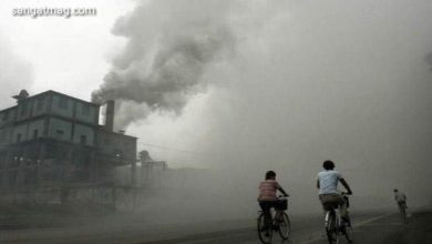 Photo of آلودہ فضا پاکستان کی اسی فیصد آبادی کے لیے خطرہ ہے، اقوام متحدہ
