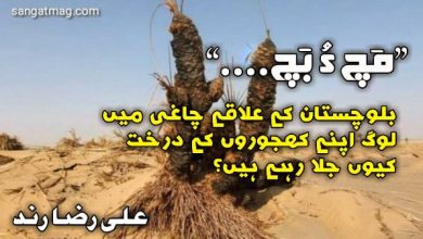 Photo of ”مَچ ءُ بَچ“، بلوچستان کے علاقے چاغی میں لوگ اپنے کھجوروں کے درخت کیوں جلا رہے ہیں؟