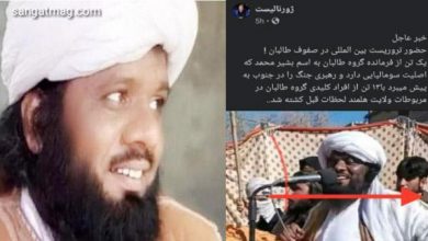 Photo of افغان حکومت نے پاکستانی عالم کو ’صومالی دہشت گرد‘ قرار دے دیا