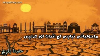 Photo of ماحولیاتی تباہی کے اثرات اور کراچی