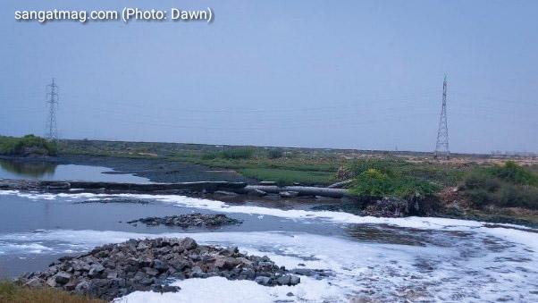 کراچی کی ساحلی پٹی آلودگی کی زد میں ہے