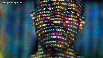 Photo of اب عام کمپیوٹر پر پورے انسانی جینوم کی پروسیسنگ منٹوں ممکن