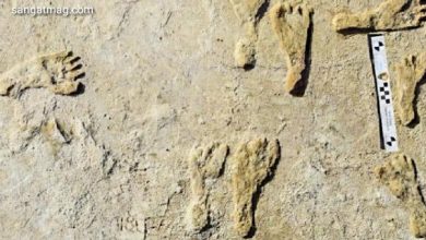 Photo of تئیس ہزار سال پرانے انسانی قدموں کے نشان!!