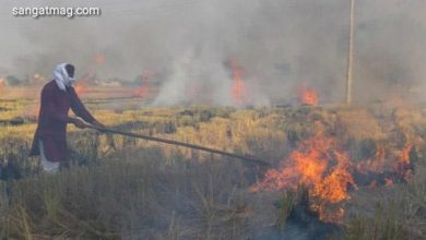 Photo of پنجاب میں اسموگ، فصلوں کی باقیات، کچرا جلانے پر پابندی