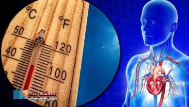 Photo of گرمی بڑھنے سے دل کی بیماریوں میں بھی اضافہ ہوگا، ماہرین