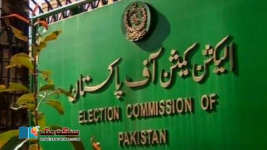 Photo of اوورسیز پاکستانی الیکشن کمیشن پہنچ گئے، آئی ووٹنگ قانون پر عمل درآمد کا مطالبہ