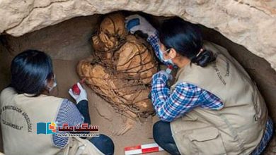 Photo of رسیوں میں جکڑی آٹھ سو سال قدیم ممی دریافت