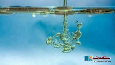 Photo of تیل اور پانی کے ایک دوسرے میں ضم نہ ہونے کی سائنسی وجہ کیا ہے؟