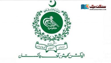 Photo of الیکشن کمیشن نے سندھ میں بلدیاتی انتخابات کے لیے حلقہ بندیوں کا عمل مؤخر کر دیا