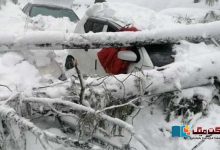 Photo of مری میں شدید برفباری نے تباہی مچا دی، دم گھٹنے اور ٹھٹھرنے سے 22 افراد ہلاک