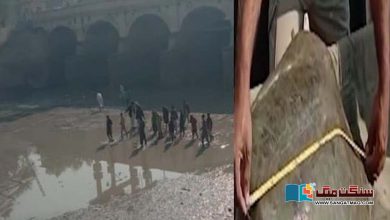 Photo of دریائے سندھ کے کچھوؤں کو ’سُوپ‘ بننے سے بچانے کی کوشش