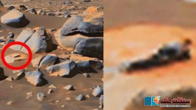 Photo of کیا مریخ کی اس تصویر میں کوئی خلائی مخلوق آرام کر رہی ہے؟