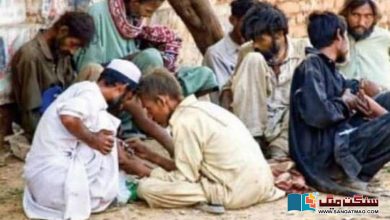 Photo of پاکستان میں نشے کے عادی بیس لاکھ افراد کوعلاج کی ضرورت ہے، کلیم امام