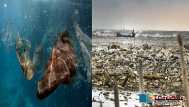 Photo of پلاسٹک آلودگی: ”وہ وقت دور نہیں جب سمندروں میں مچھلیوں سے زیادہ پلاسٹک پایا جائے گا“