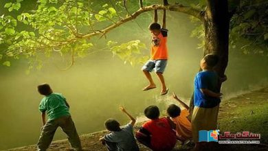 Photo of درختوں کا ایک اور فائدہ : بچوں کی نشوونما میں بھی مددگار ثابت