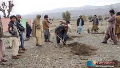 Photo of بلوچستان میں درخت لگانے کے لیے رضاکارانہ ’اشر‘ جاری، دو لاکھ سے زائد درخت لگا دیے گئے