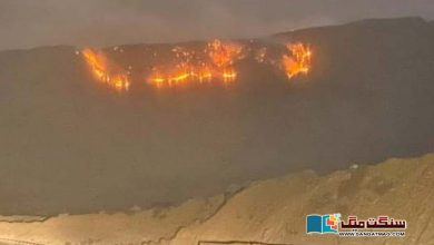 Photo of بلوچستان: آگ سے چلغوزے اور زیتون کے کتنے درخت تباہ اور بحالی میں کتنا عرصہ درکار؟