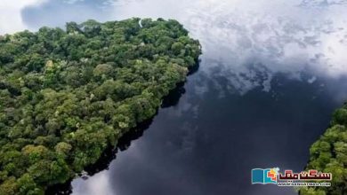 Photo of ’انسانیت کے پھیپھڑے اور گردے‘ سمجھا جانے والا کانگو بیسن، جہاں تیل کی ممکنہ دریافت نئے خطرات کو جنم دے رہی ہے
