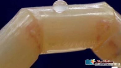 Photo of جاپان: روبوٹک انگلی کے لیے ’زندہ انسانی جلد‘ تیار