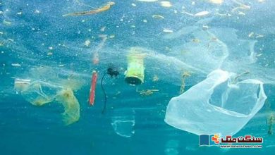 Photo of سمندر میں پلاسٹک کا کچرا نئی اینٹی بائیوٹک کا ذریعہ بن سکتا ہے، تحقیق