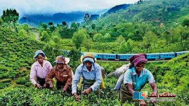 Photo of سری لنکا کا معاشی بحران اور چائے کی صنعت میں اُبلتا طوفان