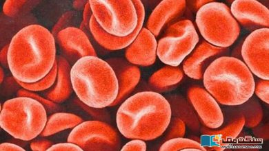 Photo of خون کی بیماری ’ہیموفیلیا‘ کے نئے طریقہ علاج کے حوصلہ افزا نتائج