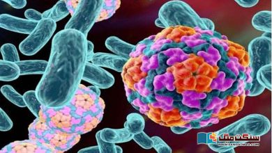 Photo of ہیپاٹائٹس اے وائرس کے طریقہ واردات کا بنیادی راز افشا