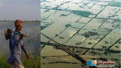 Photo of تباہ کن سیلاب سے سندھ میں کسانوں کی تباہ حالی ”ہم پچاس سال پیچھے جا چکے!“