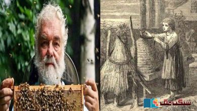 Photo of شہد کی مکھیوں کو ملکہ کے انتقال کی اطلاع دینے کی دلچسپ روایت کا پس منظر کیا ہے؟