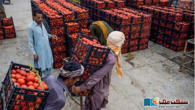 Photo of ایران سے ٹماٹر اور پیاز کی درآمد پر بلوچستان کے زمینداروں کا احتجاج