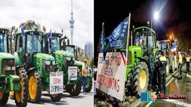 Photo of نیوزی لینڈ: گائے کے ڈکار پر ٹیکس کے خلاف ملک گیر مظاہرے