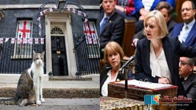 Photo of برطانوی وزیراعظم لز ٹرس کا استعفیٰ، ڈاؤننگ اسٹریٹ کا بِلا اور اگلا وزیراعظم۔۔۔