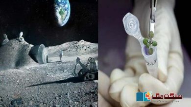 Photo of آسٹریلوی سائنسدان 2025 تک چاند پر پودے اگانے کی کوشش کریں گے