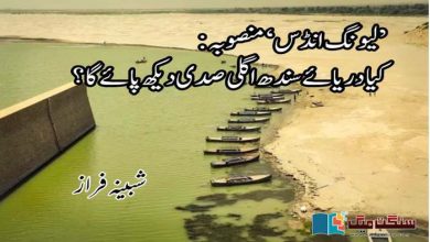 Photo of ’لیونگ انڈس‘ منصوبہ: کیا دریائے سندھ اگلی صدی دیکھ پائے گا؟