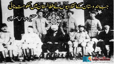 Photo of جب ہندوستان کے انقلابیوں نے افغانستان میں حکومت بنائی