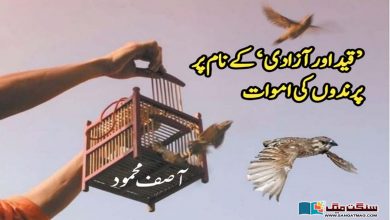 Photo of ’قید اور آزادی‘ کے نام پر پرندوں کی اموات