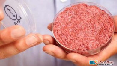 Photo of عام گوشت بمقابلہ لیبارٹری میں تیار کردہ گوشت۔۔۔