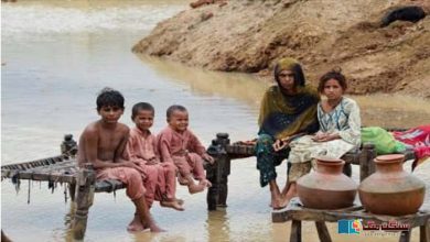 Photo of سندھ: گزشتہ سال کے سیلاب سے متاثر خاندانوں کو ابھی تک گھروں کی تعمیر کے لیے معاوضہ یا امداد نہیں ملی۔ انسانی حقوق کمیشن